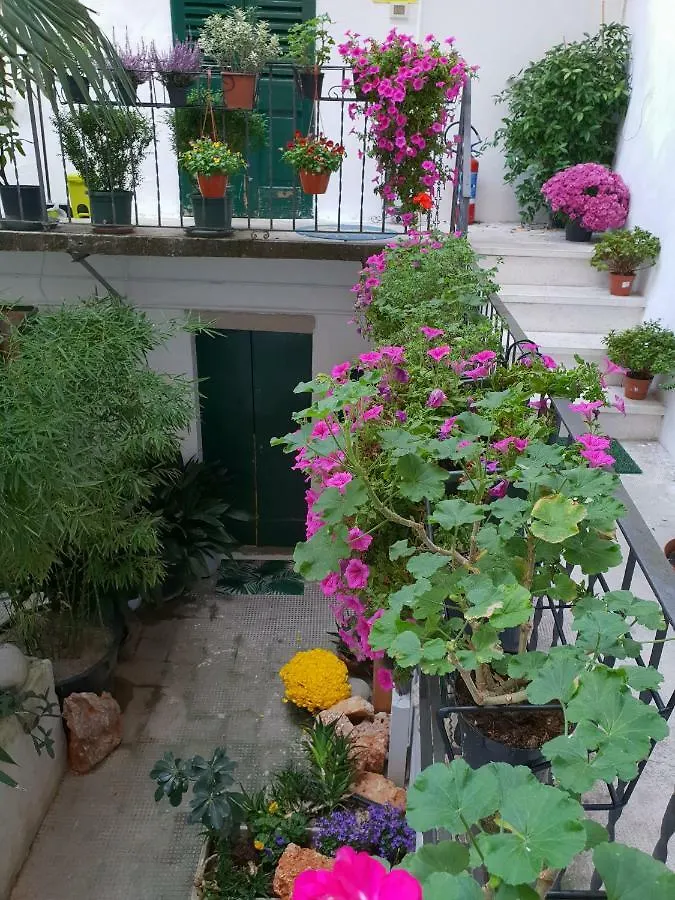 Guest house La Casa Di Daniele Hotel Brescia